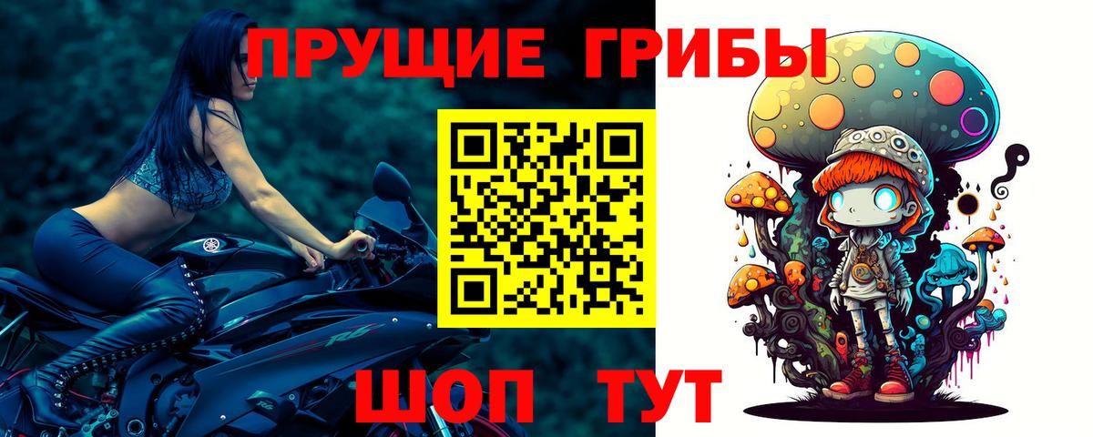 Псилоцибиновые грибы GOLDEN TEACHER  Псилоцибиновые грибы MAGIC MUSHROOMS  Сунжа  Вход с VPN 